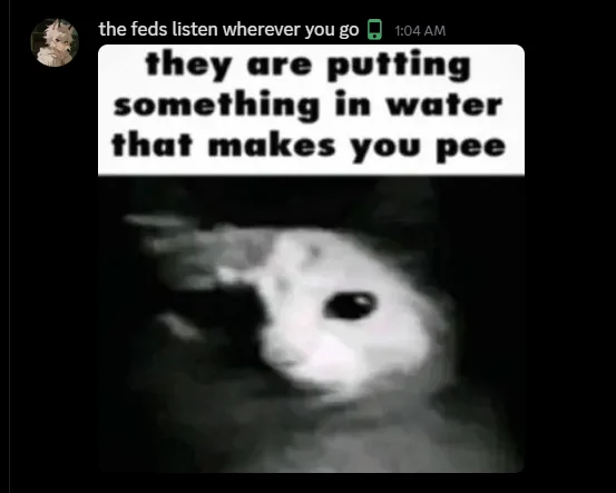 They are putting...